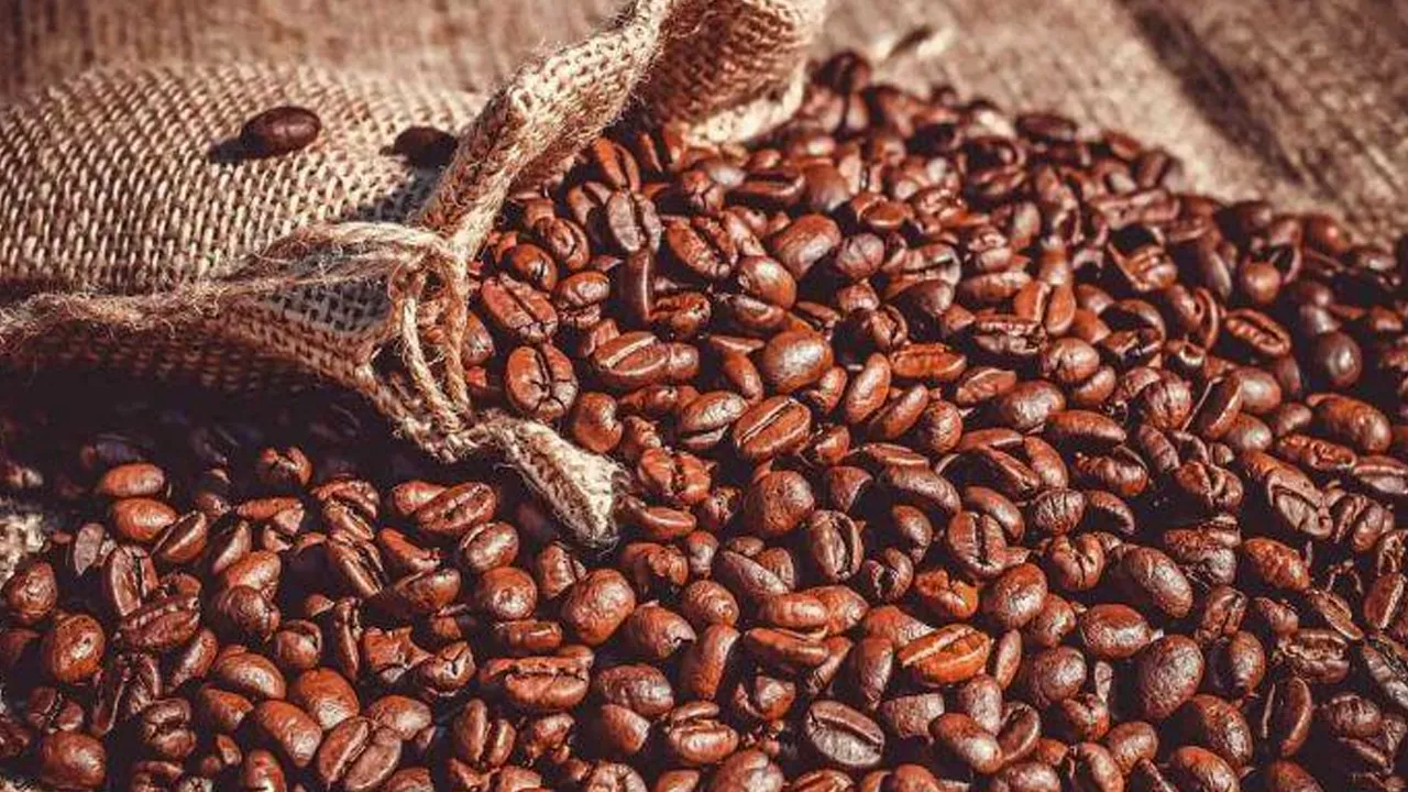 Meroket Sejak Bulan Lalu Harga Kopi Arabika Terus Melambung di Pasar New York