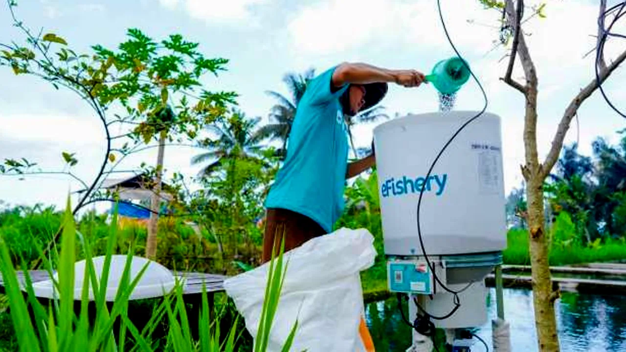 eFishery Buka Suara Terkait Isu PHK Karyawan